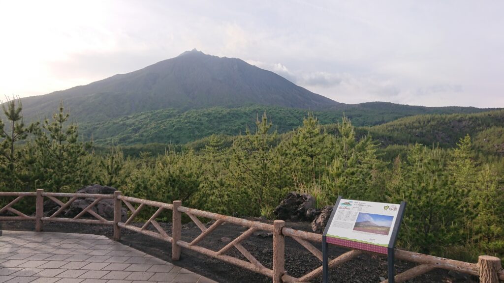 桜島②